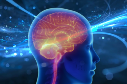 Brain circuitry learning study 1