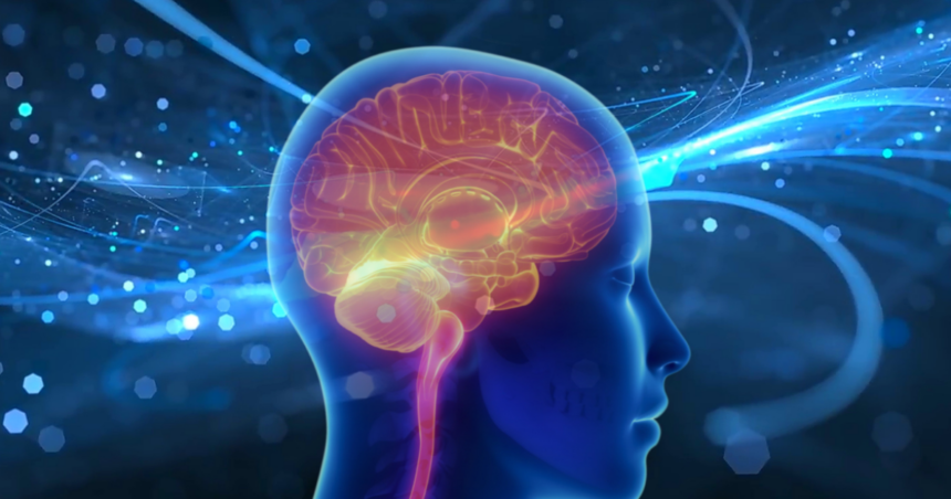 Brain circuitry learning study 1