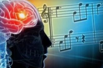 Music Brain 722301 edited